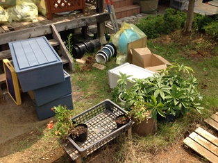 庭の片付け 川口市 庭の清掃 粗大ごみ 埼玉県